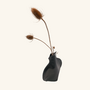 Leader(look) Vaas Zwart